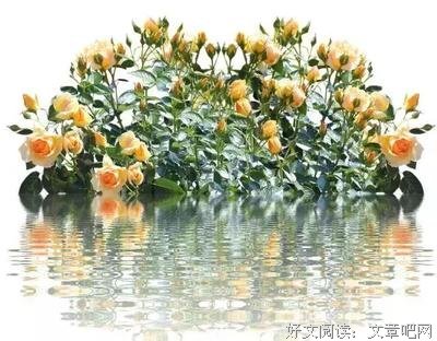 心伤的优美句子