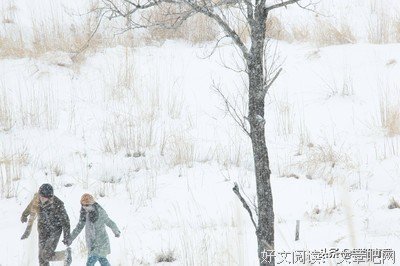 《冷静心能对自己》的句子