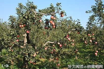 2019三杯秋15句经典名言
