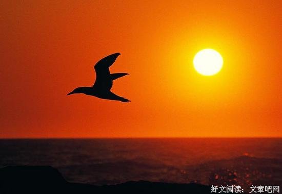 2020年最后一条朋友圈，教会了我9个生活的真相
