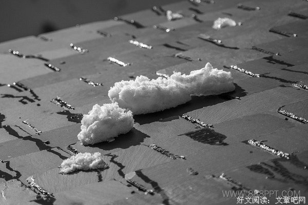 在暴雪时分读后感1000字
