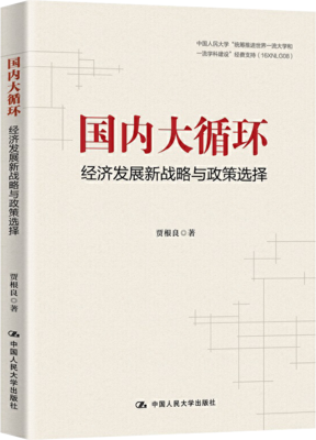 国内大循环：经济发展新战略与政策选择读后感锦集