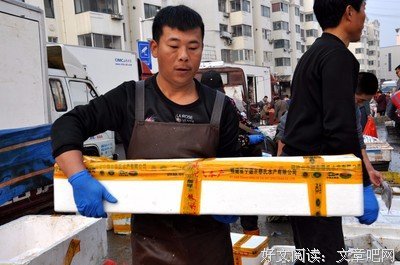 《新上门女婿》经典影评集