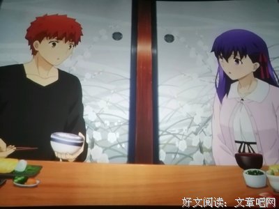 《命运之夜前传 第一期》的观后感大全