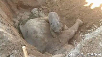 寸步不离的名句_关于寸步不离的名句
