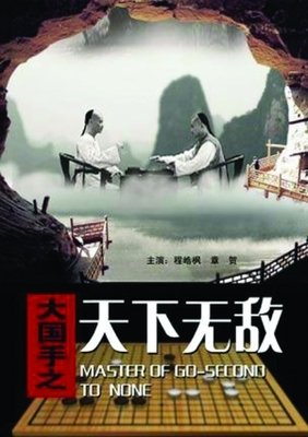 《大国手之天下无敌》经典观后感1000字