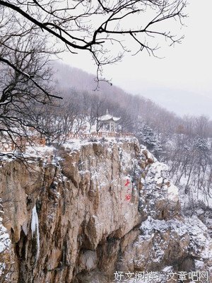 《千山暮雪》观后感精选