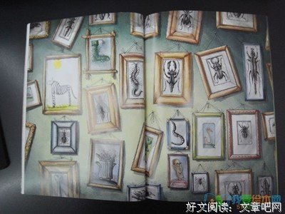 《巧克力蛋糕真好吃》读后感锦集