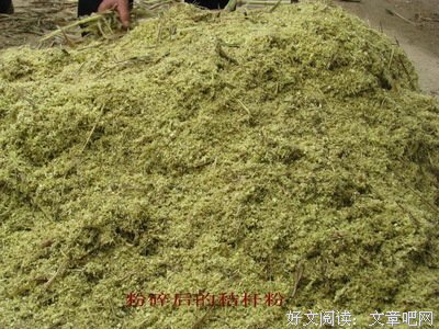 心水象草亦香句子