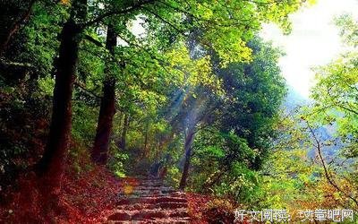 《彼岸》经典语句