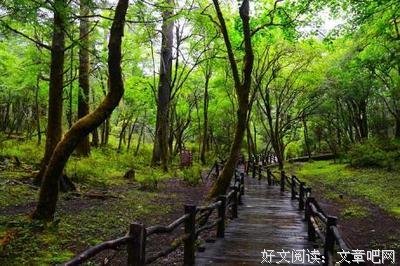 最全的《怨女》语录摘抄