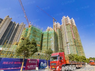 《泰瑞》观后感100字