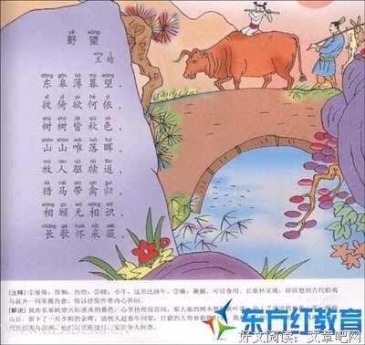 凉州词读后感100字