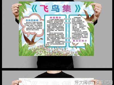 《《飞鸟集》》读后感摘抄