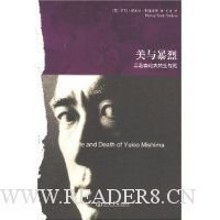 美与暴烈读后感100字