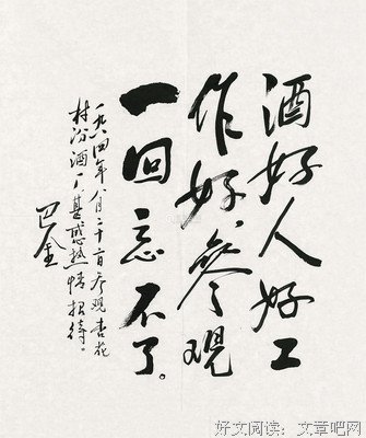 随行巴金读后感精选
