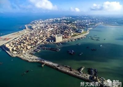 《向海深处》读后感100字