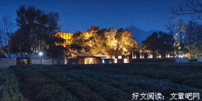 《你教会了我什么最重要》的观后感大全