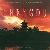 成都爱情故事读后感100字