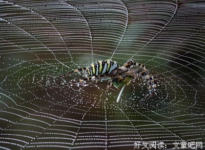 描写坐享其成的经典句子