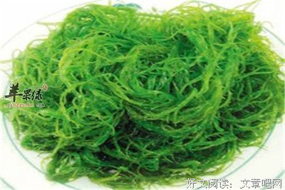 《冲绳岛上最后的医疗辅助师》经典观后感有感