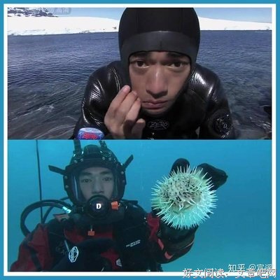 《金城武南极探险之旅》的观后感大全