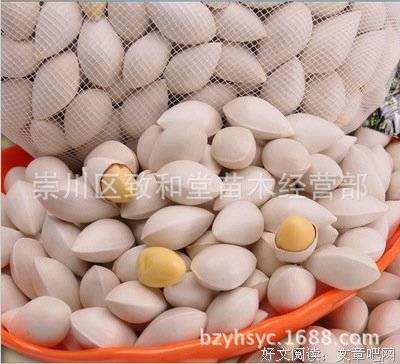 《盲人之歌》读后感精选