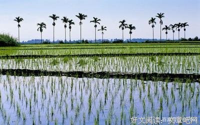恍悟经典的句子