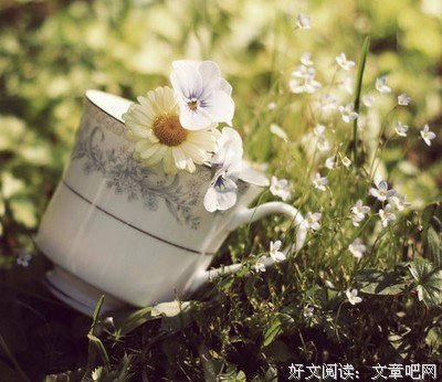 飘雪季节的优美句子