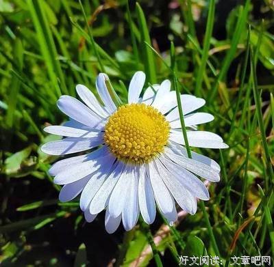 有关爱装睡的人的句子