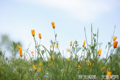 到外开好词好句