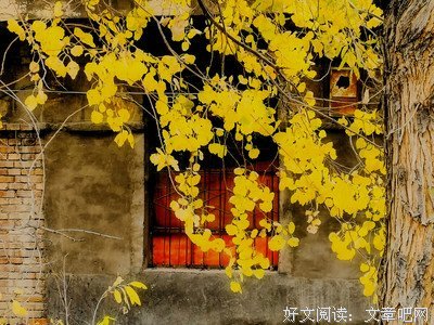 锁清秋好词好句