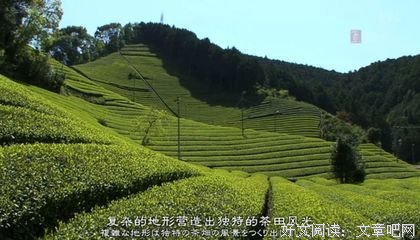 《美之壶》好看吗？经典观后感锦集