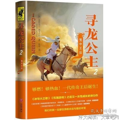 《寻龙公主2：笼中王后》读后感精选