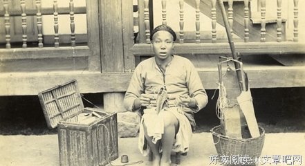 《亲爱的伯德太太》读后感摘抄