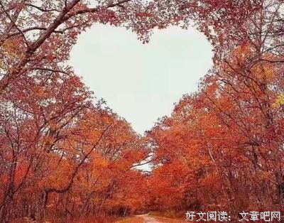 15条关于我中有你的经典语句