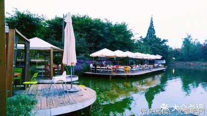 《百花深处》经典影评集