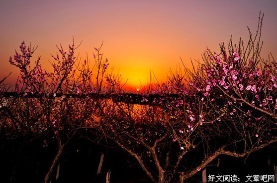 收藏的雅趣读后感锦集