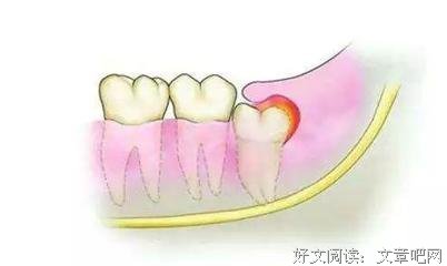 德式孕产百科读后感摘抄