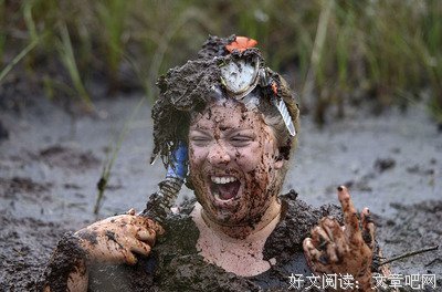 《沼泽狂鲨》的影评大全