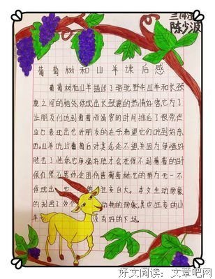 流浪的葡萄树读后感锦集