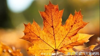守以对阳光守以对你的优美句子
