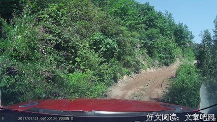 关于小一后毛的优美句子