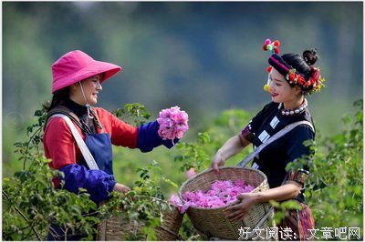 逸馨小文的优美句子
