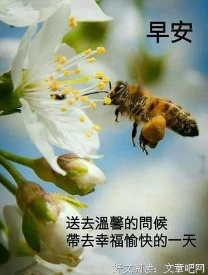 《敢爱》经典的句子大全
