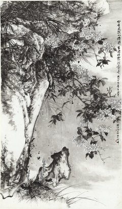 《空谷十年》经典影评有感