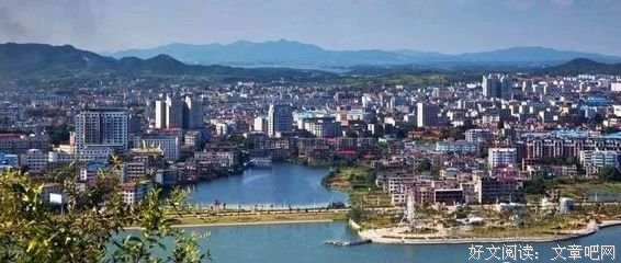 无雨亭集读后感100字
