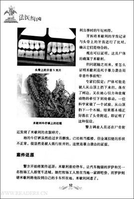 《缉凶》读后感1000字