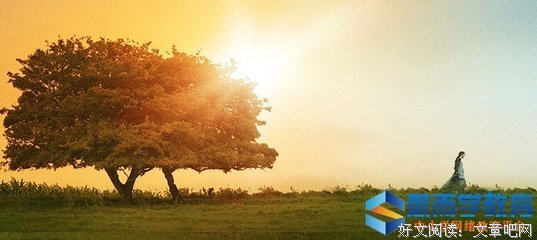 《简·奥斯丁传》读后感摘抄