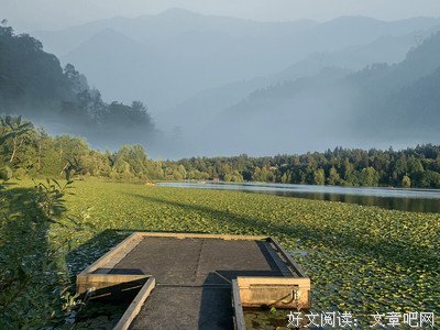 天青色等烟雨的读后感大全